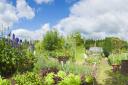 National Allotments Week is fast approaching. Picture: iStock/PA