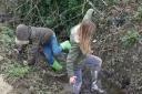 Louisa had to perform a ditch rescue on one of her walks.