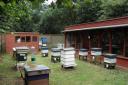 The Huntingdonshire Beekeepers\' Association apiary at Hinchingbrooke Country Park