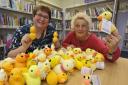 Womens Institute knitted ducks, to raise funds for organ donation, at Ramsey Library are (l-r) Organiser and Trustee of Huntingdon & Peterborough WI Anna Bradley-Dorman, and Ramsey WI member Sue Webster,