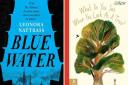 ‘Blue Water’ and ‘What Do You See When You Look at a Tree’ are this week’s adult and child book of the week. 