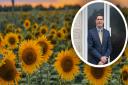 Tony Larkins, managing director of the Beacon Wealth Management, says that over the last decade, Ukraine has exported roughly half of the world’s sunflower oil.
