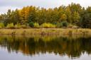 Peter Hagger took his autumn photo at the Paxton Pits Nature Reserve.