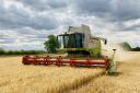 Arable farmers' incomes are predicted to fall for harvest 2024, warned agents at Strutt & Parker