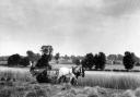 Wheat harvest in Eaton Ford, 1925