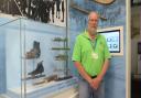 Museum Assistant Richard Carter, beside the Fen Skating display, which will feature in Bargain Hunt on August 29