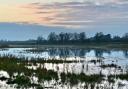 The wintry flooded meadow of Berry (Bury) Fen at Earith, captured by Jim Stevenson.