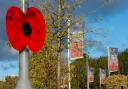Large poppies can be seen on lampposts in a housing development thanks to Barratt and David Wilson Homes.