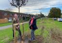 (From L to R) Cllr Lara Davenport-Ray and Cllr Simone Taylor helped to plant more than 110 trees on Oxmoor Lane, Huntingdon.