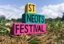 The St Neots Festival has something for everyone.