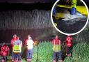 A rescue operation was held throughout the night to try and save one of the dolphins trapped in reeds.