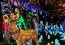 The Grace family have covered their Sawtry home in a stunning display of Christmas lights.