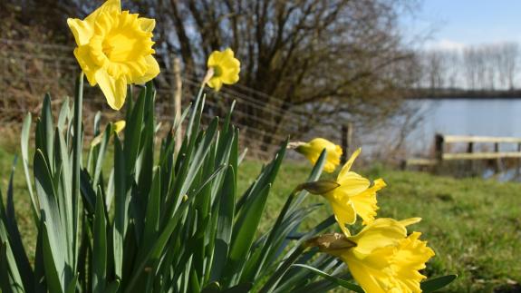 The Hunts Post: David Rootham took this photograph at Godmanchester Nature Reserve. The Hunts Post: David Rootham took this photograph at Godmanchester Nature Reserve.