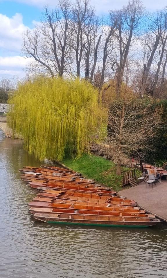 The Hunts Post: Another image from Daniella Smith which she took in Cambridge. The Hunts Post: Another image from Daniella Smith which she took in Cambridge.