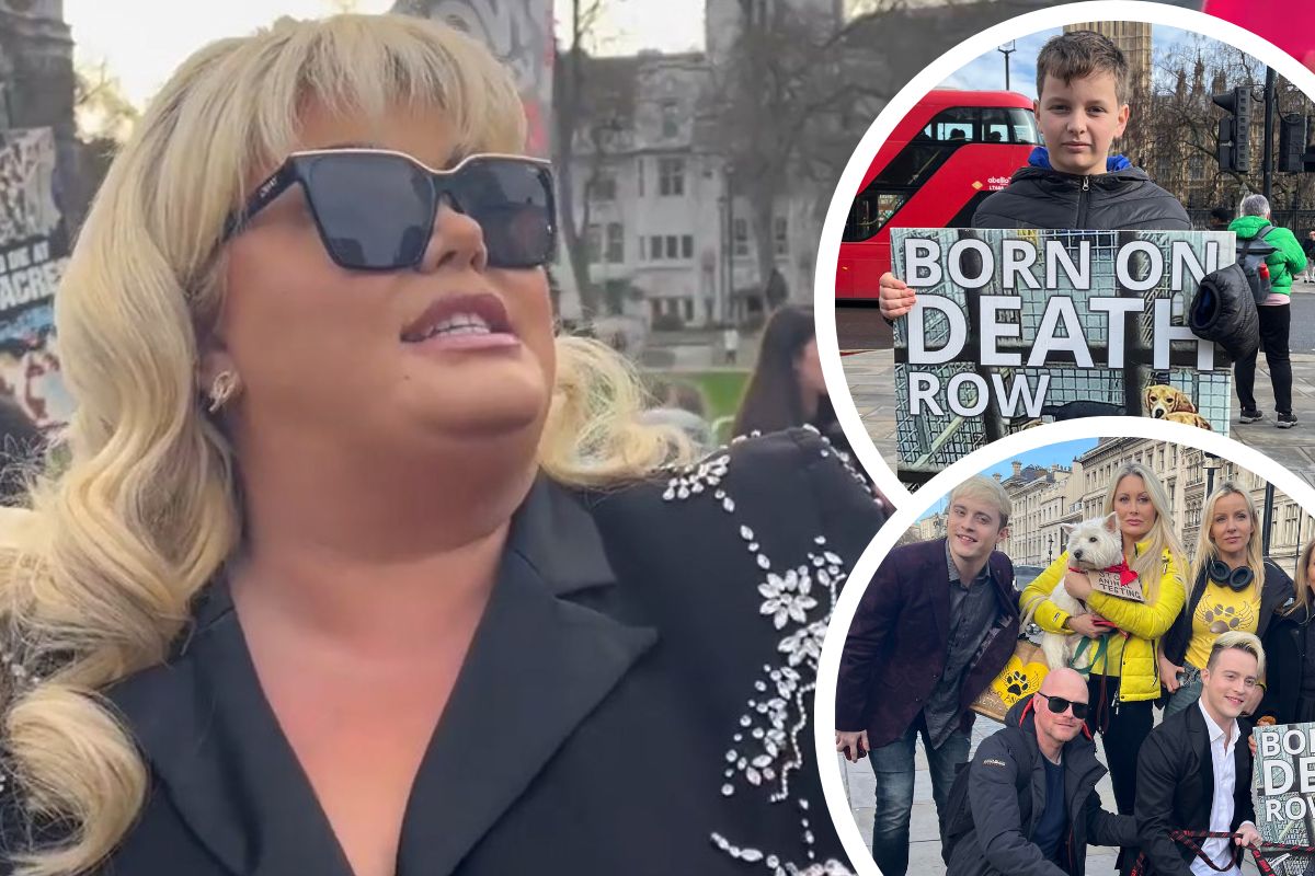Gemma Collins and Jedward at Camp Beagle's Westminster rally - Vimarsana News
