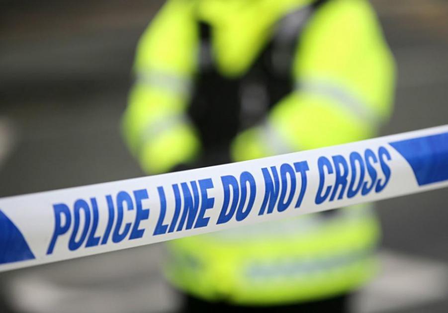 Cambridge murder: Men charged after man dies in Carlton Way 