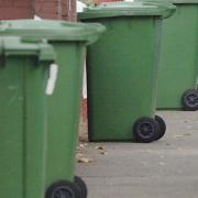 The council want to introduce an annual fee for collecting green bins.