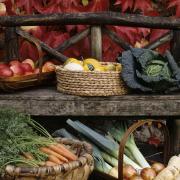 Visit the Wimpole Kitchen Garden produce stall.