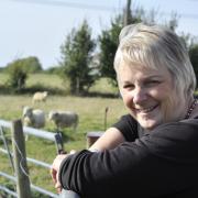 Anne-Marie Hamilton of Wood Farm in Hail Weston writes for The Hunts Post.