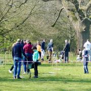 An overall view of the Tree Planting Community event in Priory Park, St Neots.