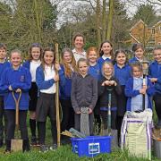 The Eco Explorers Club from Westfield Junior School, St Ives, planting native apple trees.