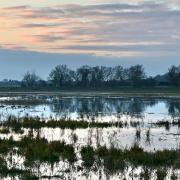 The wintry flooded meadow of Berry (Bury) Fen at Earith, captured by Jim Stevenson.