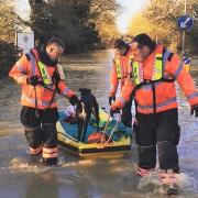 Fire crews rescue dogs submerged in flood water in St Neots on Christmas Eve.