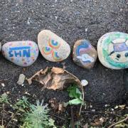 Pebble snakes are springing up in St Neots