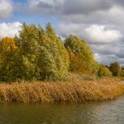 Peter Hagger took his shades of Autumn image at Hinchingbrooke Park.