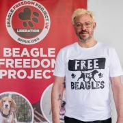 Will Young and 39 other celebrities have lent their voice to the campaign group Beagle Freedom Project UK by putting their names to an open letter to rehome laboratory dogs.