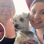 Scrappy the dog has made a 'remarkable recovery' and is back at home with his owner Davina and her mum Carol.