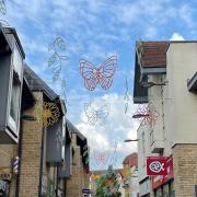The vibrant summer canopies can be seen when you visit Chequers Court and St Germain Walk in Huntingdon Town Centre.