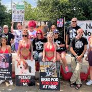 Models Stella Paris, April Mae, Lucia Marie, Roxy Winters, Zoe Grey, Taya Bunny and Amber Paige joined Camp Beagle activists outside MBR Acres in Wyton, Huntingdonshire, today to stage a bikini protest.