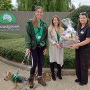 On July 18, the local garden centre team donated a hamper full of doggy toys and treats to be shared with the homeless and vulnerable dogs in Woodgreen’s care.