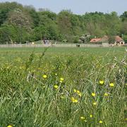 Plans have been announced to enhance Hinchingbrooke Country Park.