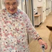 Cute pony Honeybee visits Montague House Care Home in Brampton to surprise 95-year-old resident Marjorie.
