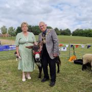 Mayor and mayoress of Huntingdon Phil and Debbie Pearce with a donkey from The Ark Ltd.
