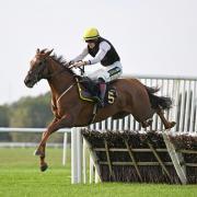 Four-year-old horse, Mr Mackay, won by three and a half lengths in an impressive race.