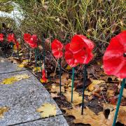 Cadets transform recycled plastic bottles into poppies