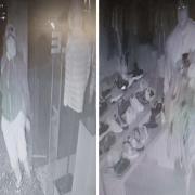 CCTV footage of the burglary at Flannels in King Street, Cambridge, on January 24.Clothing and handbags worth £76,000 were stolen after a burglary at Flannels in King Street, Cambridge, on January 24