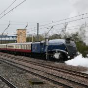 The Class A4 Sir Nigel Gresley pulled into Huntingdon on its way to York.