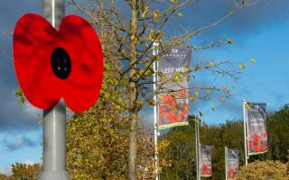 Large poppies can be seen on lampposts in a housing development thanks to Barratt and David Wilson Homes.