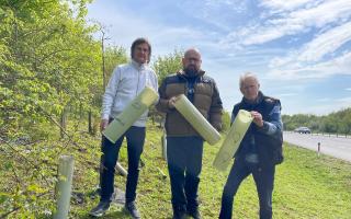 Graham Campbell and Ian Jackson, trustees of the Great Ouse Valley Trust, join Cllr Stephen Ferguson (centre) to highlight the issue of redundant tree guards along the A428.