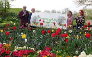 The Huntingdon in Bloom committee celebrating the competition launch at Castle Hills.