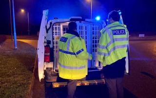 Cambridgeshire Police have made 47 arrests in connection with drink or drug driving.
